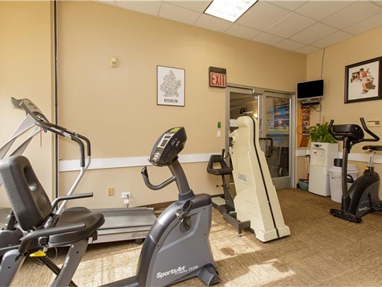 physical therapy brooklyn new york